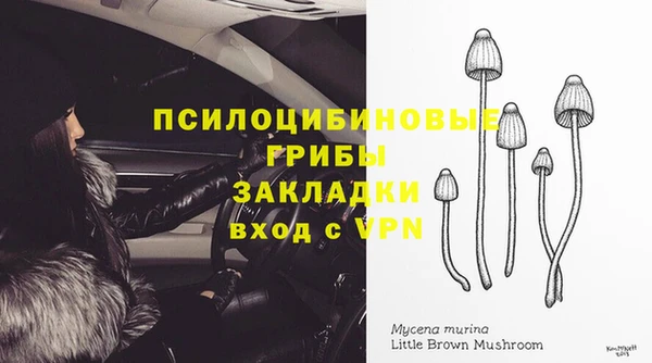 а пвп мука Аркадак