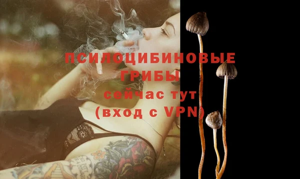 гидропоника Арсеньев
